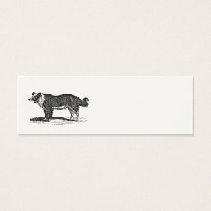 Ilustracion del perro del border collie de los