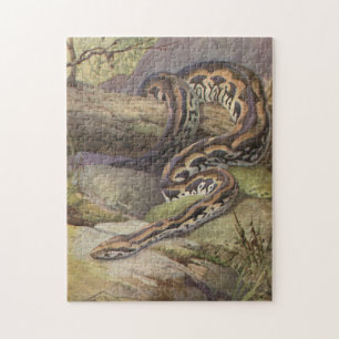 Ilustracion del rompecabezas de la serpiente