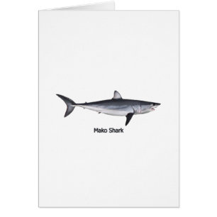Ilustracion del tiburón de Mako de Shortfin