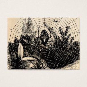Ilustracion del Web de araña de los 1800s del