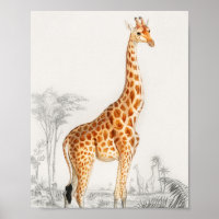 Ilustracion Giraffe Impresión de arte vintage