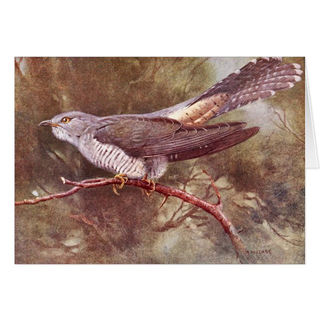 Ilustracion gris del vintage del cuco (Anverso (Horizontal))