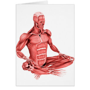 Ilustracion médico de sentarse masculino de los