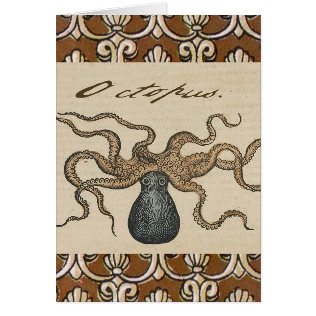 Ilustracion Octopus Kraken Vintage (Frente)