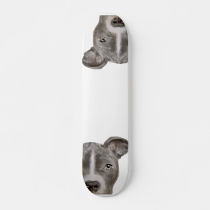 Ilustracion Pitbull Skateboard por miart