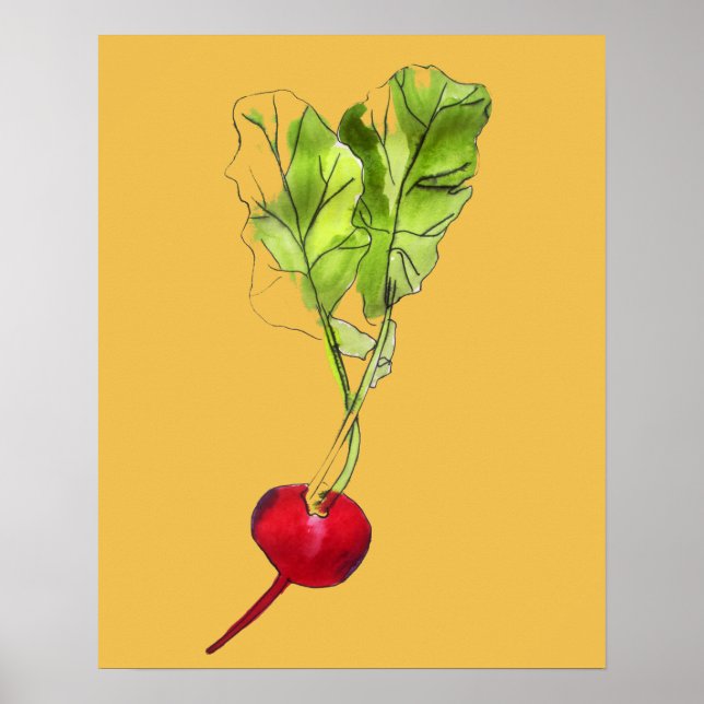 Ilustracion vegetal radical acuarela arte (Frente)