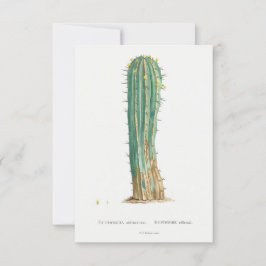 Ilustracion vintage de la planta de Cacti