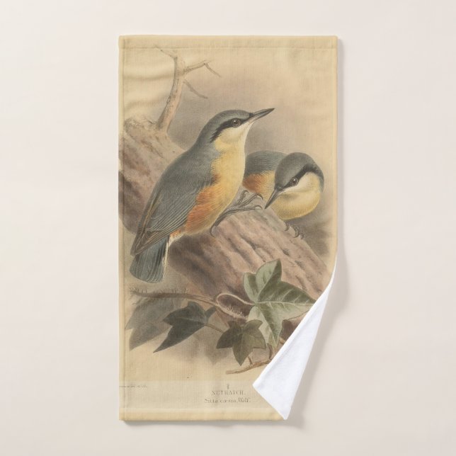 Ilustracion vintage de Nuthatch (Toalla de mano)