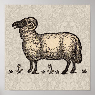Ilustración Vintage de Oveja: Arte Clásico de Gran