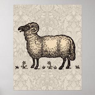 Ilustración Vintage de Oveja: Arte Clásico de Gran