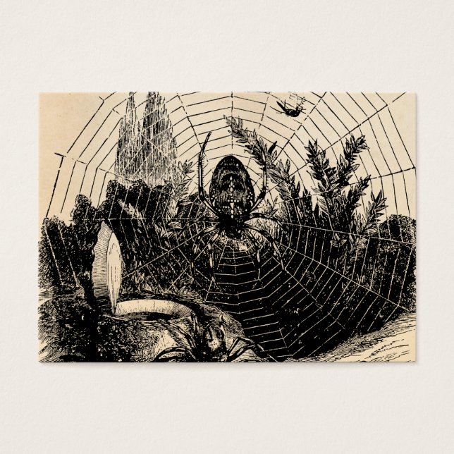 Ilustracion vintage de Spider Web de los años 1800 (Frente)
