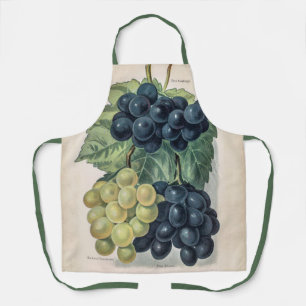 Ilustracion vintage del delantal