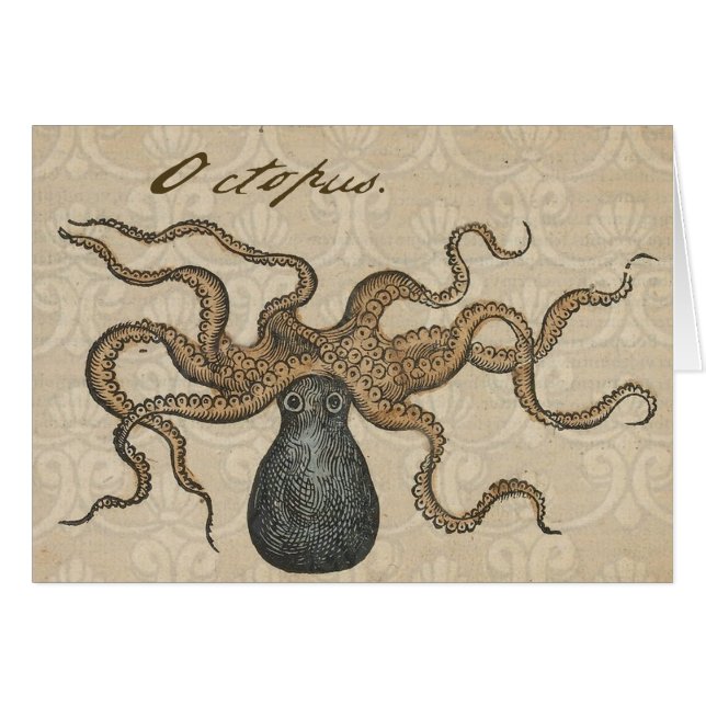 Ilustración Vintage del Kraken Pulpo (Anverso (Horizontal))