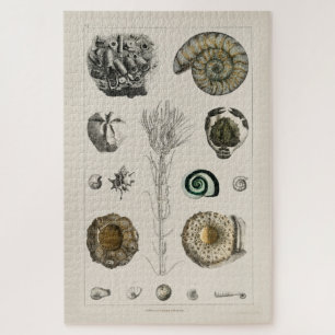 Ilustracion VINTAGE FOSSILS CHART JIGSAW PUZZLE
