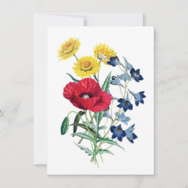 Ilustracion Vintage Wildflowers
