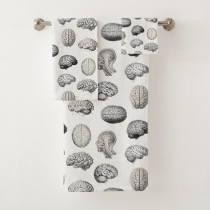 Ilustraciones de Anatomía Cerebral Biología Vintag