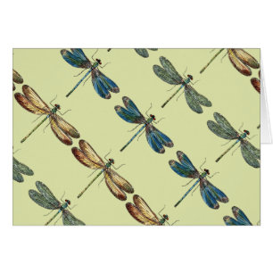 Ilustraciones de la libélula
