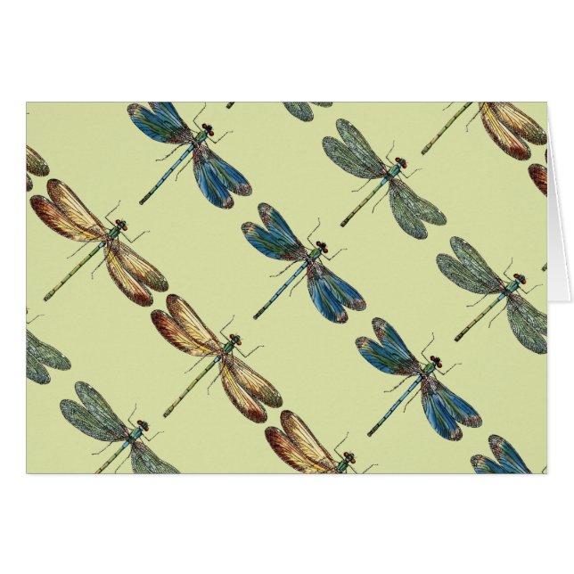 Ilustraciones de la libélula (Anverso (Horizontal))