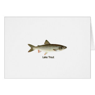 Ilustraciones de la trucha de lago