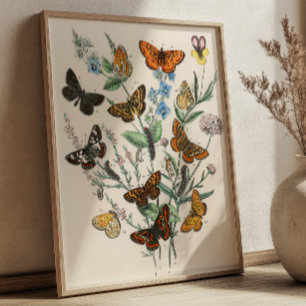 Ilustraciones de mariposas vintage Arte botánico