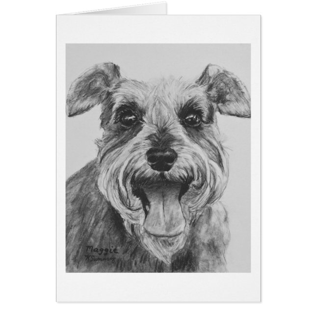 Ilustraciones del bosquejo del Schnauzer (Frente)