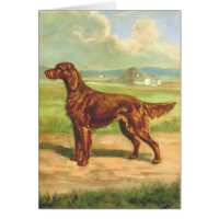 Ilustraciones del vintage - perro de Irish Setter,