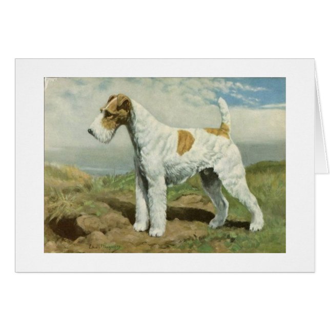 Ilustraciones del vintage - perro del fox terrier (Anverso (Horizontal))