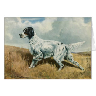 Ilustraciones del vintage - perro del organismo