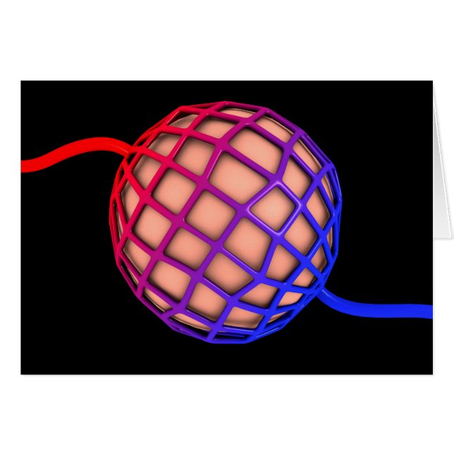 Imagen Conceptual De Alveolus (Anverso (Horizontal))