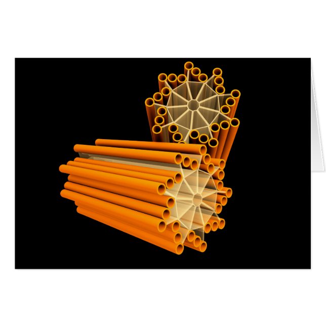 Imagen Conceptual De Centrioles 1 (Anverso (Horizontal))