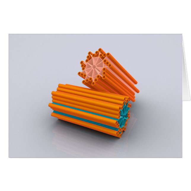 Imagen Conceptual De Centrioles 2 (Anverso (Horizontal))