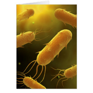 Imagen Conceptual De Flagellate Bacterium 3