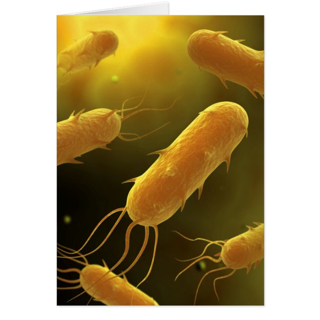 Imagen Conceptual De Flagellate Bacterium 3 (Frente)