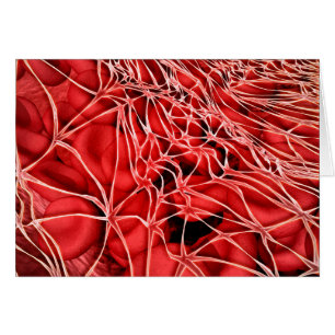 Imagen Conceptual De Glóbulos Rojos Con Fibrina