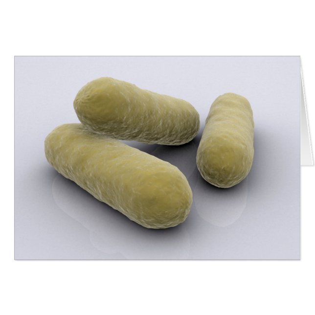 Imagen Conceptual De La Bacteria 2 (Anverso (Horizontal))