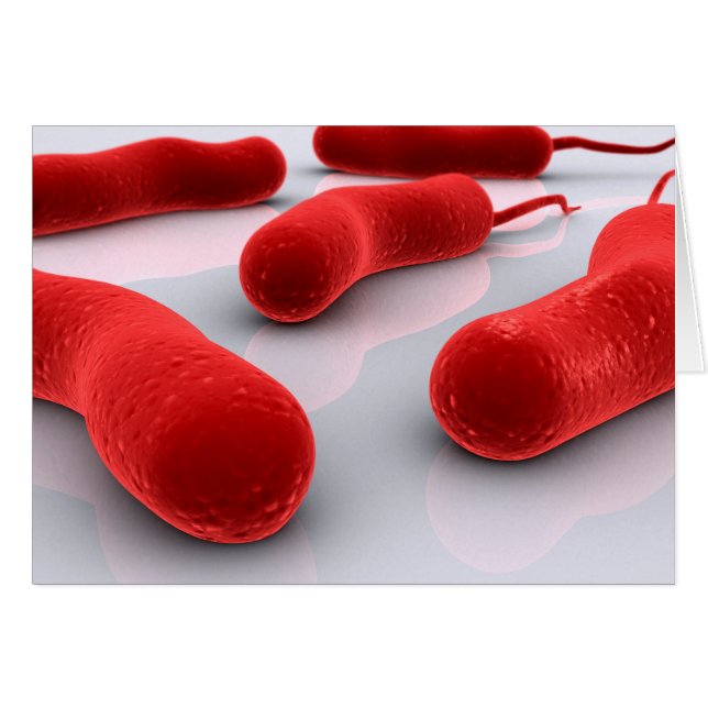 Imagen Conceptual De La Bacteria Cholerae (Anverso (Horizontal))