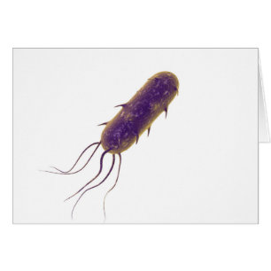 Imagen conceptual de la bacteria flagelada 2