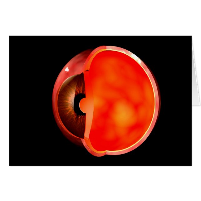 Imagen Conceptual De La Cruz Ocular Humana Sección (Anverso (Horizontal))