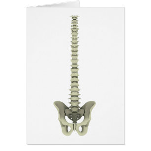 Imagen conceptual de la espina dorsal humana 1