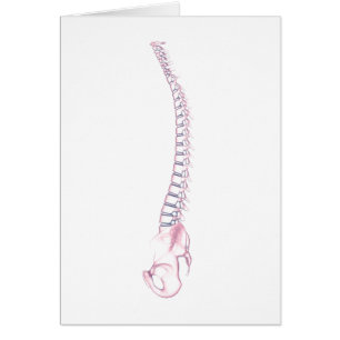Imagen conceptual de la espina dorsal humana 3