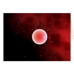 Imagen Conceptual De La Fertilización Común