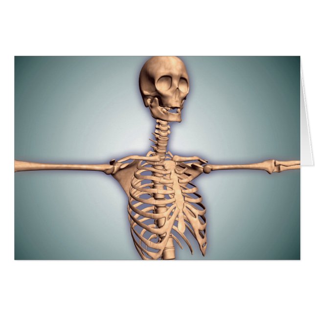 Imagen Conceptual De La Jaula De La Rib Humana Y D (Anverso (Horizontal))