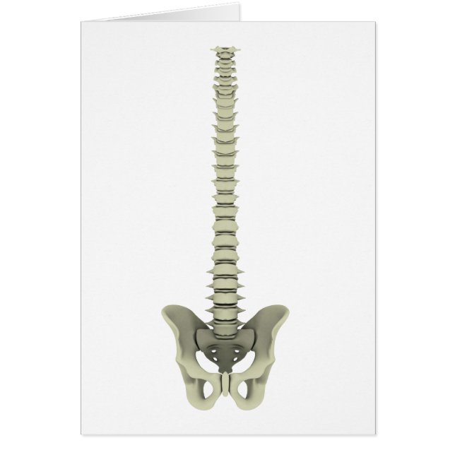 Imagen Conceptual De La Red Humana 1 (Frente)