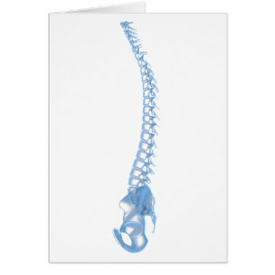 Imagen Conceptual De La Red Humana 5