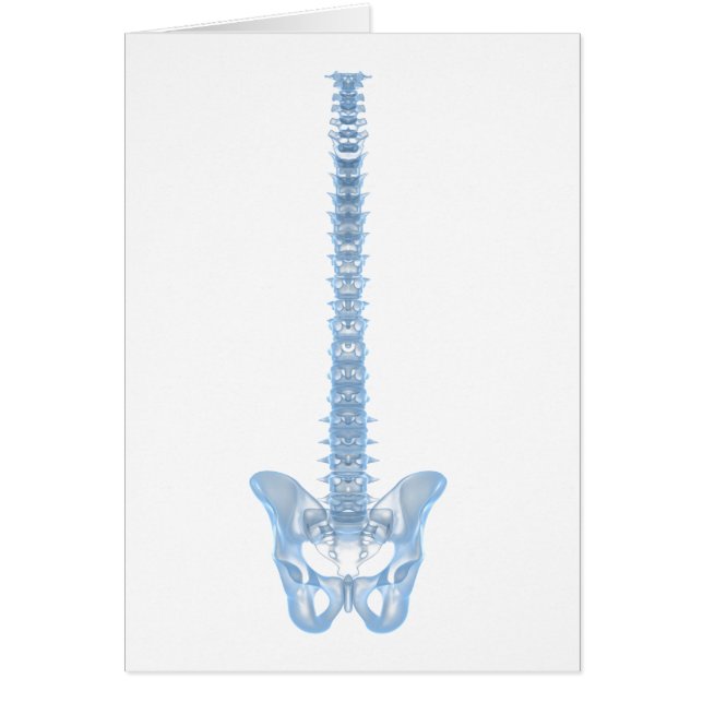 Imagen Conceptual De La Red Humana 6 (Frente)