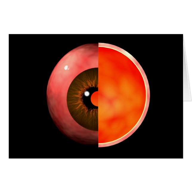 Imagen Conceptual De La Sección 3 De La Cruz Ocula (Anverso (Horizontal))