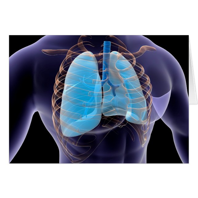 Imagen Conceptual De Los Pulmones Humanos Y De La  (Anverso (Horizontal))