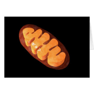 Imagen Conceptual De Mitochondria 1