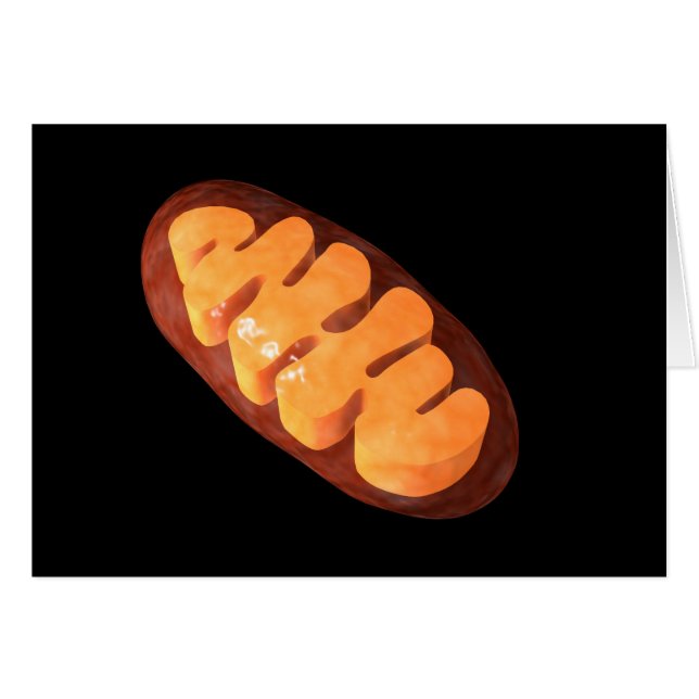 Imagen Conceptual De Mitochondria 1 (Anverso (Horizontal))