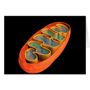Imagen Conceptual De Mitochondria 3